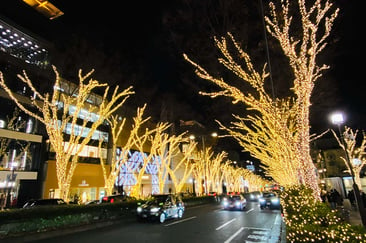 xmas_omotesando_2022_02